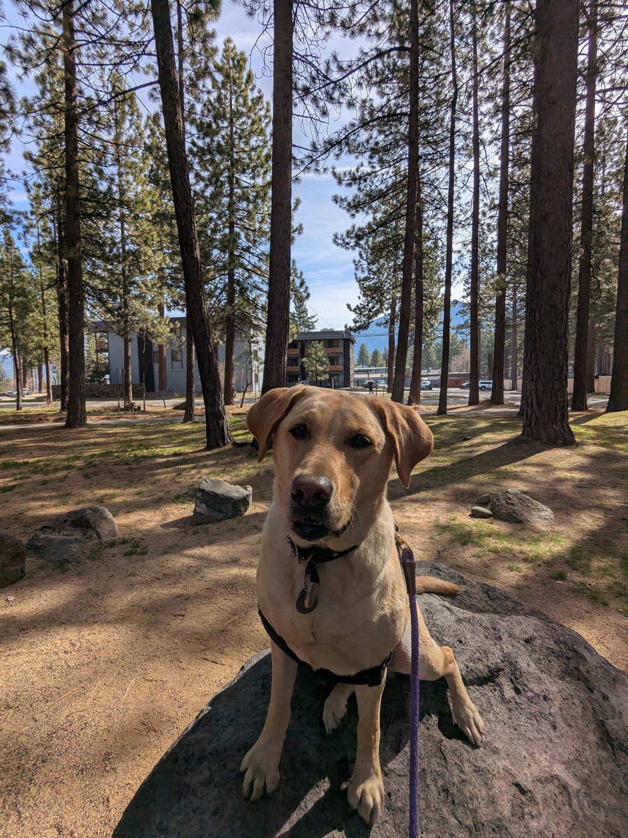 RockyRunyonRacing tweet media