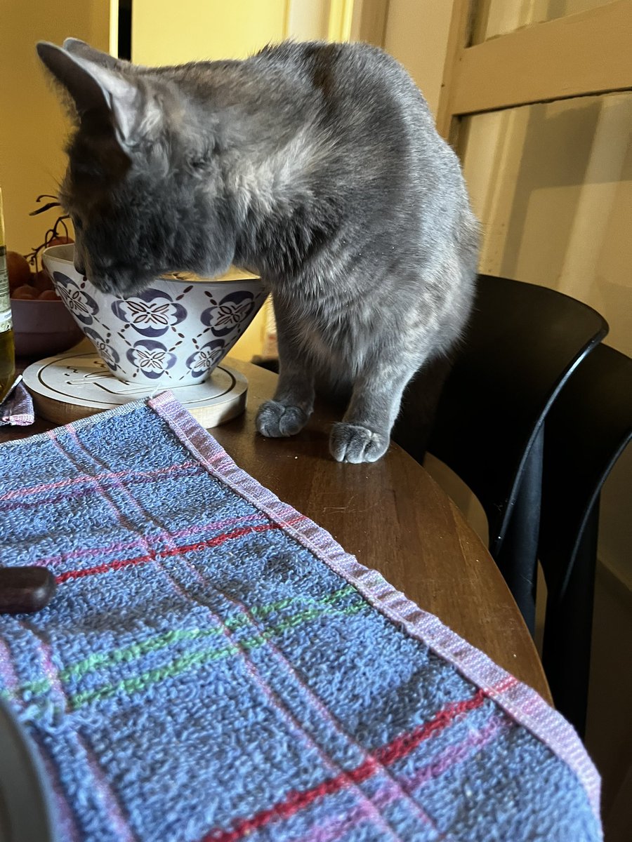 Solchu Paletas tweet media