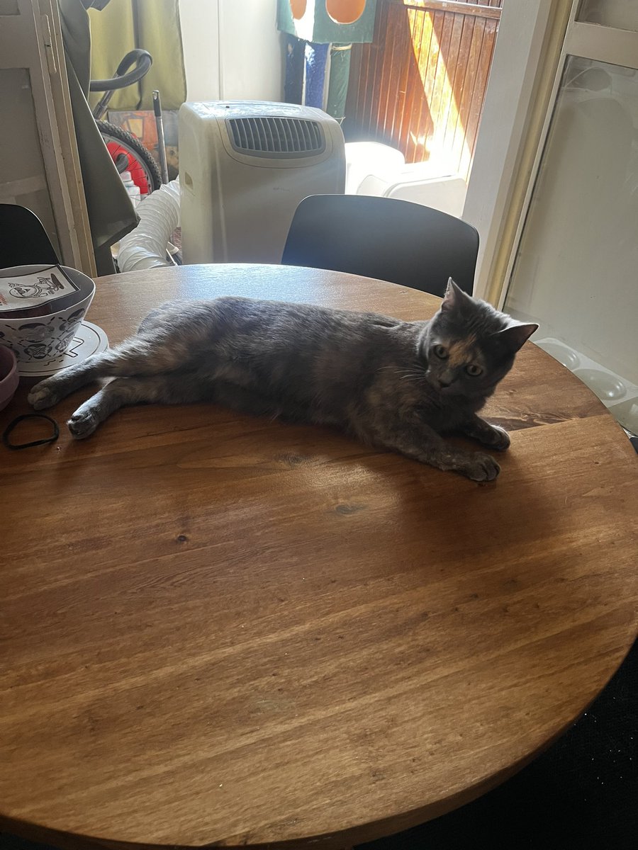 Solchu Paletas tweet media