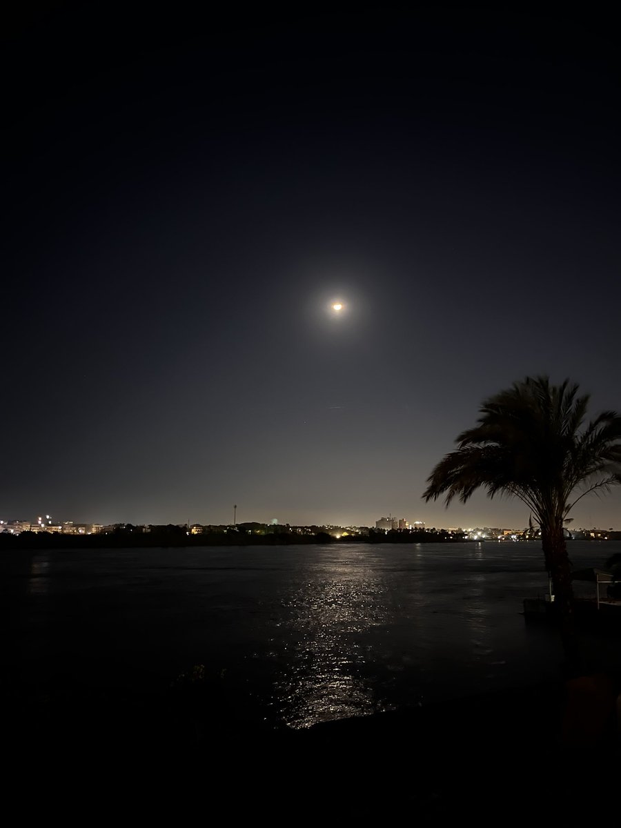 رُبا tweet media