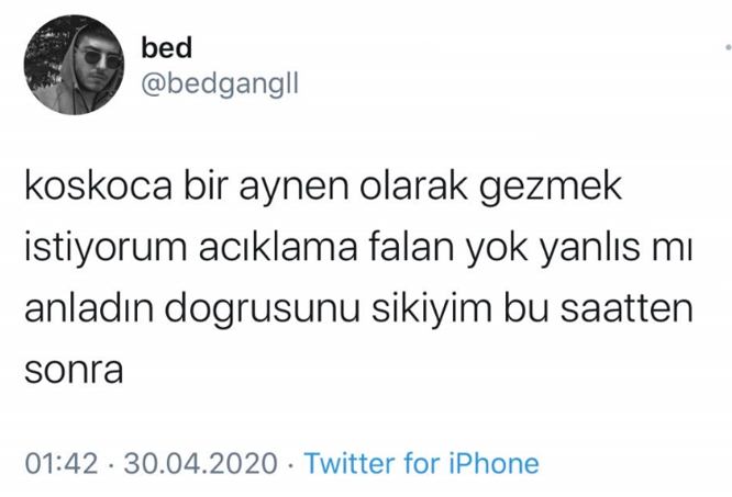 İT KÖPEK A.Ş. (@itkopekas_) on Twitter photo 