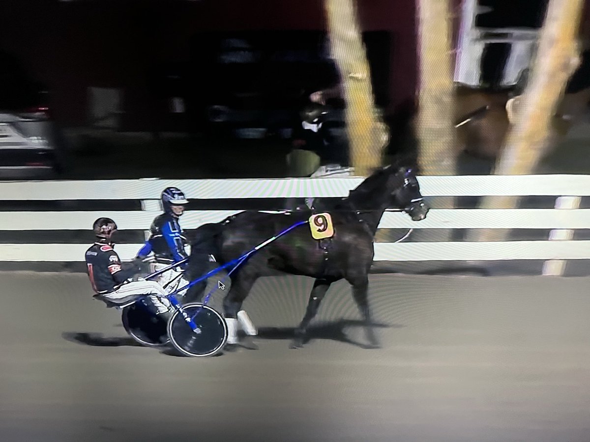 Ising Racing tweet media