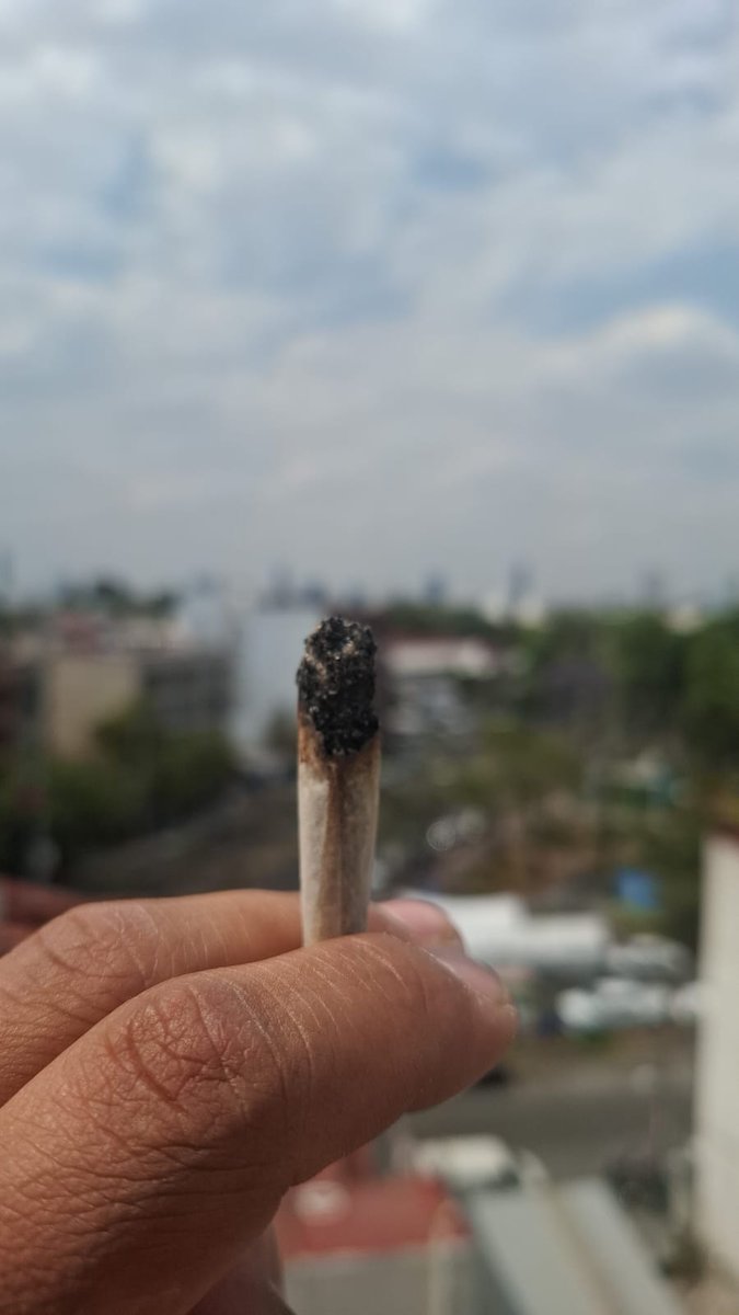 Weedmexique's tweet photo. #Weed #DrugTwt #DrugStore #Gallo #Flores #420 #Conecte #Candy #ele #Ajo #Dulces #MeryJane #Uber #Mx #Didi #Marihuana #Cuadro #Wax #Honey #Miel #Acido #Dealer #710 #Necte #Punto #Hongos #Vapes #Honey #Miel #Perez #Blanca #Pase #Tachas #Emilio #Mdma #Drugs #MotaChida #Candy #Dm 👽 https://t.co/k4tIsTUPDM