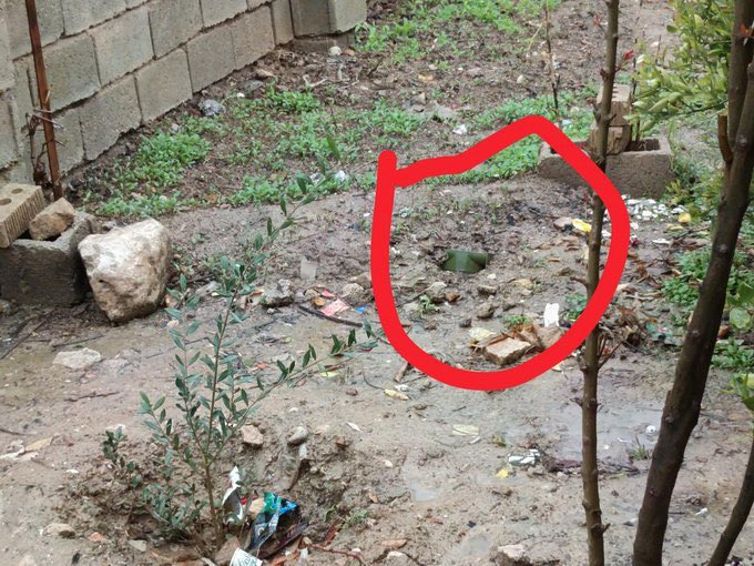  SoLiTo tweet media