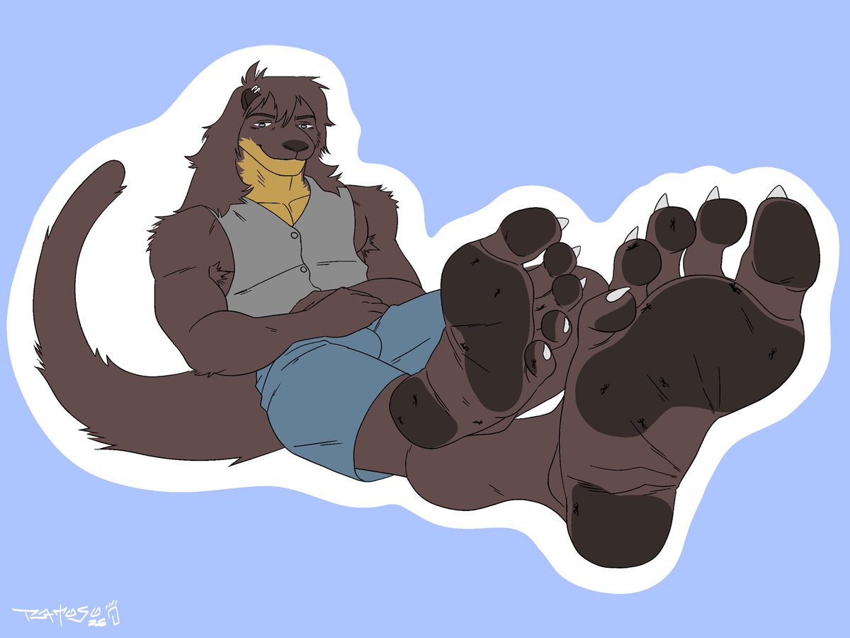 Continental Otter tweet media