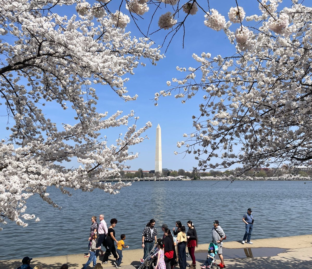 National Mall NPS tweet media