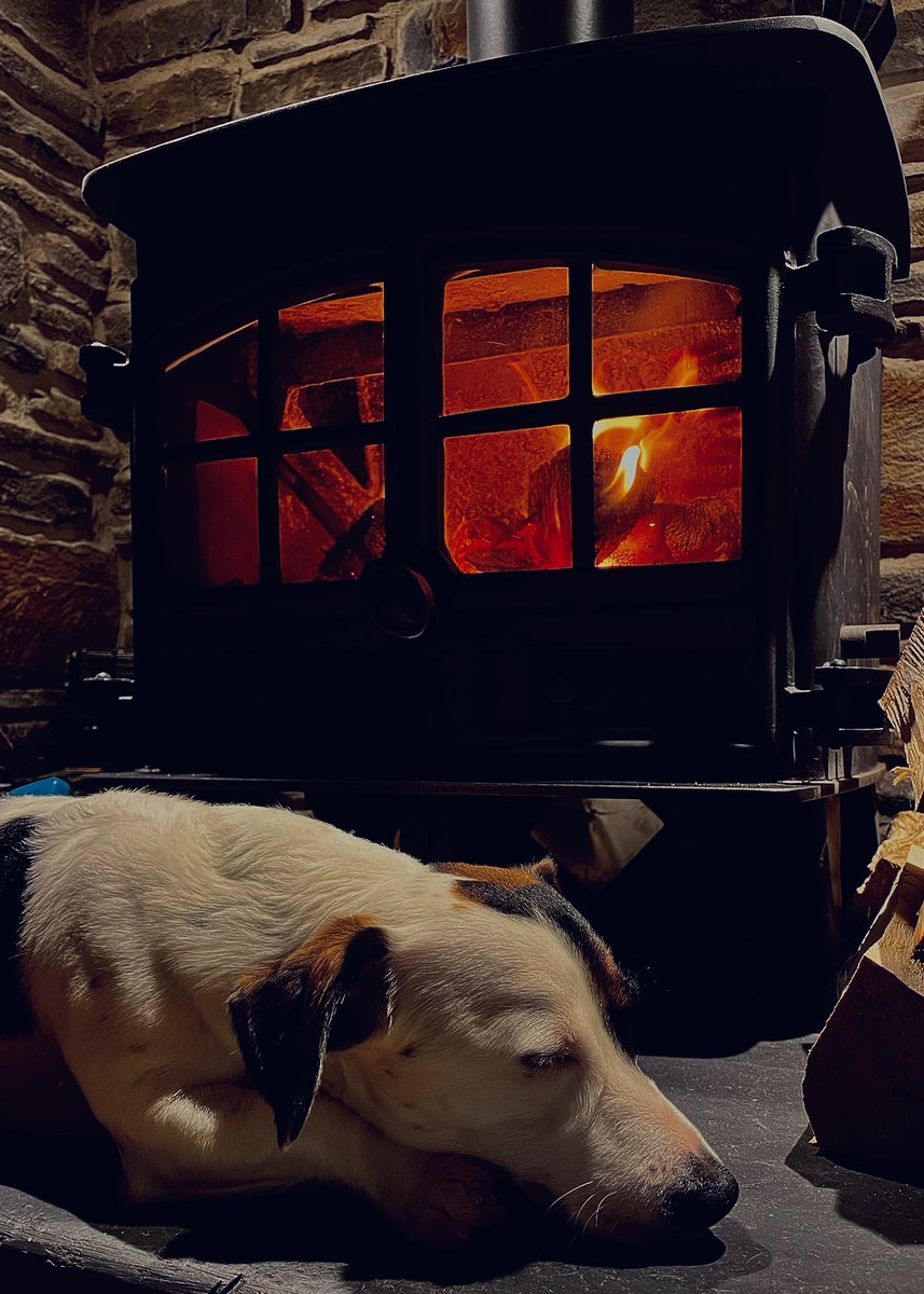 Aled Hall 🏴󠁧󠁢󠁷󠁬󠁳󠁿 tweet media