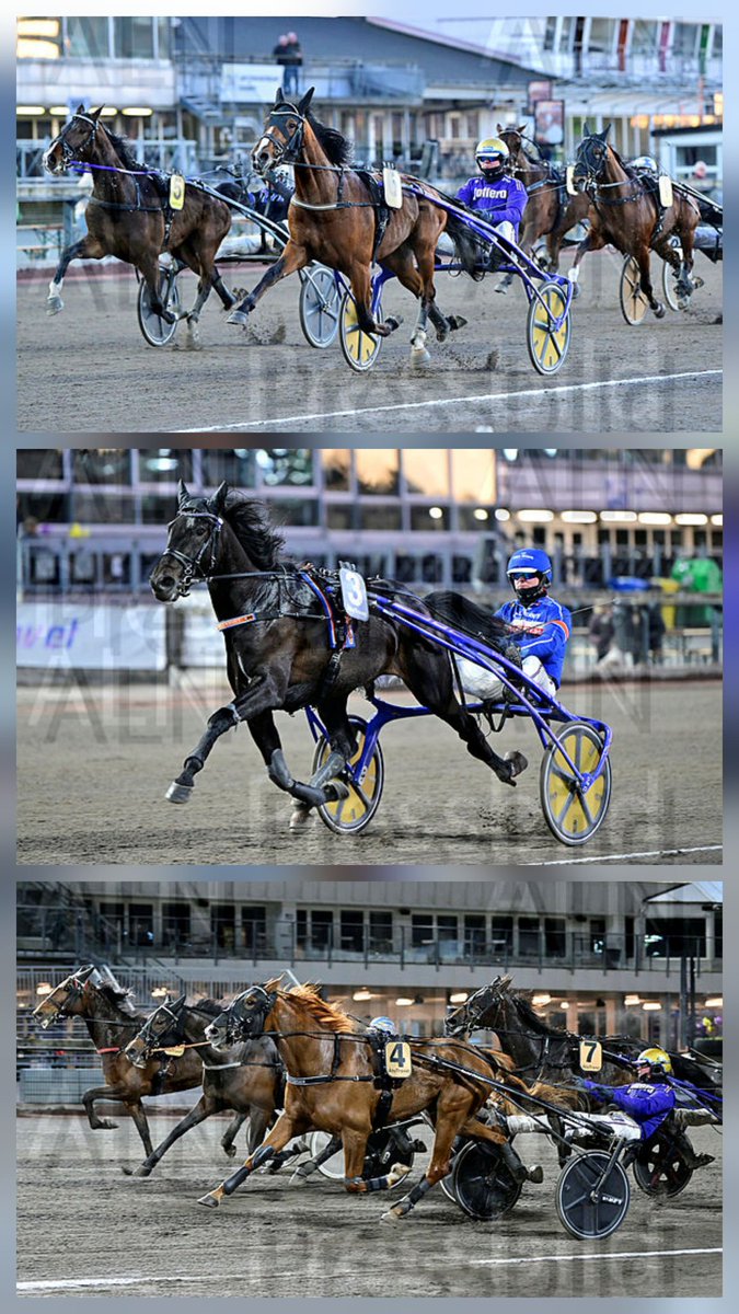 FIGHT-TILL-YOU-DIE tweet media