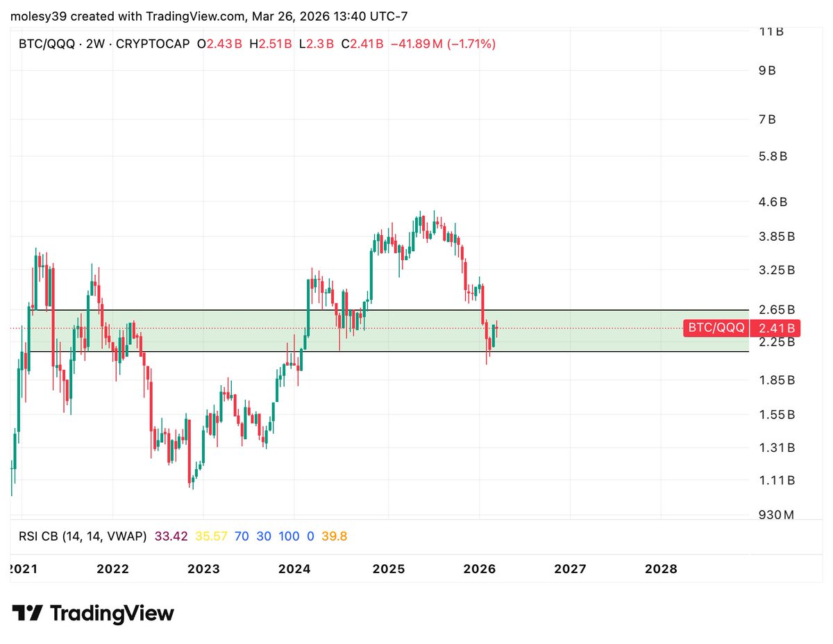 Molesy 📷 tweet media