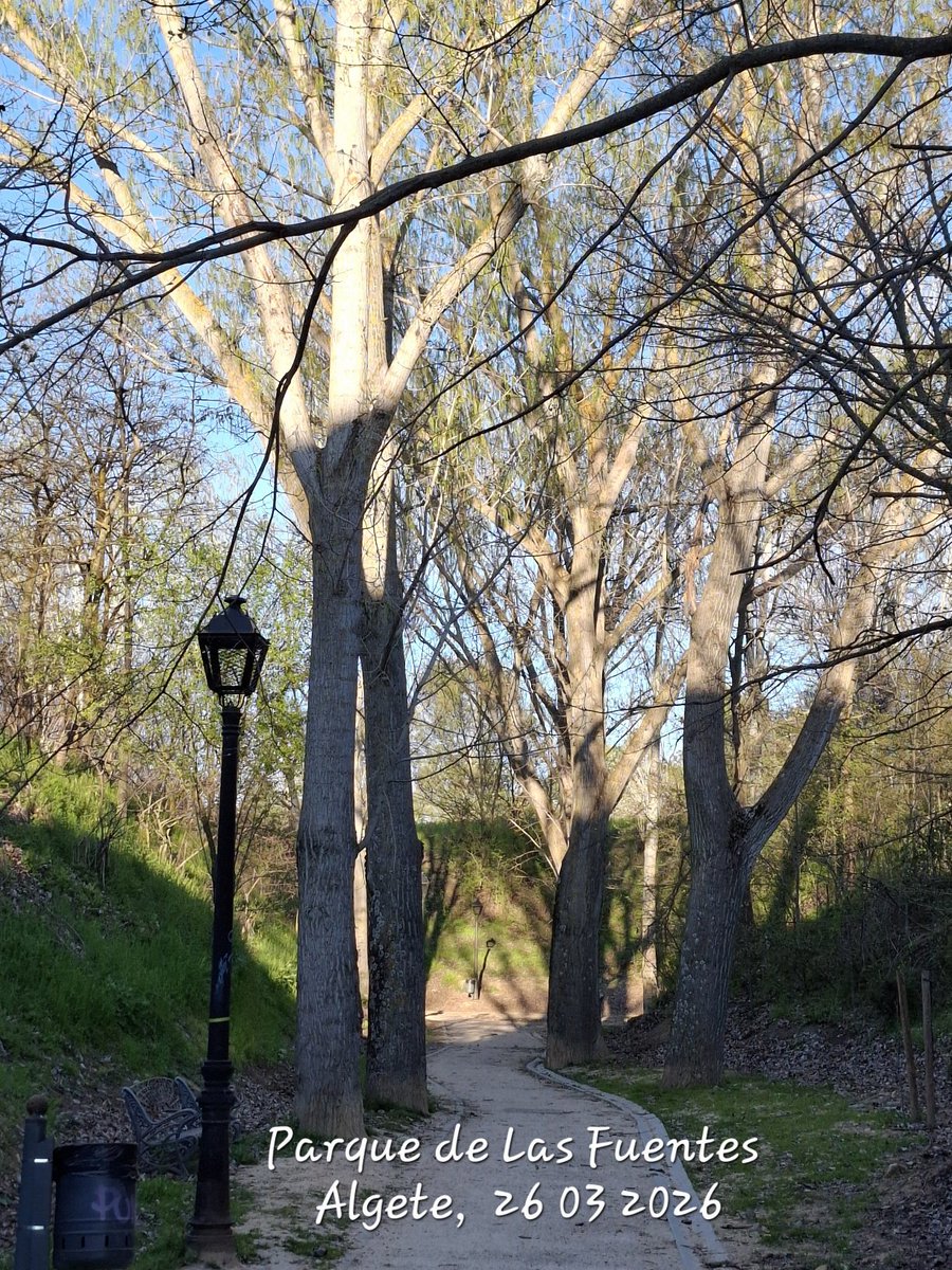 MAF Algete tweet media