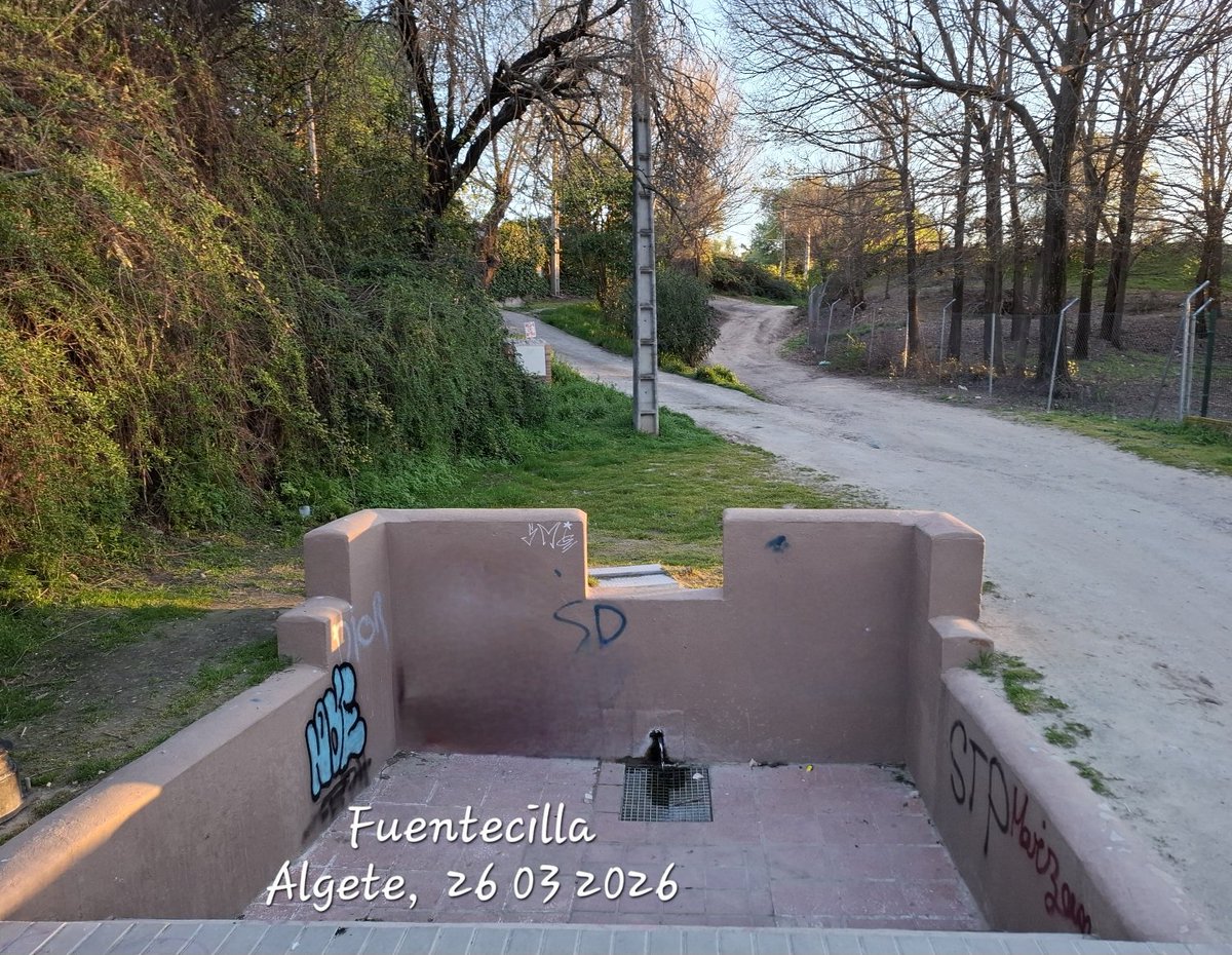 MAF Algete tweet media