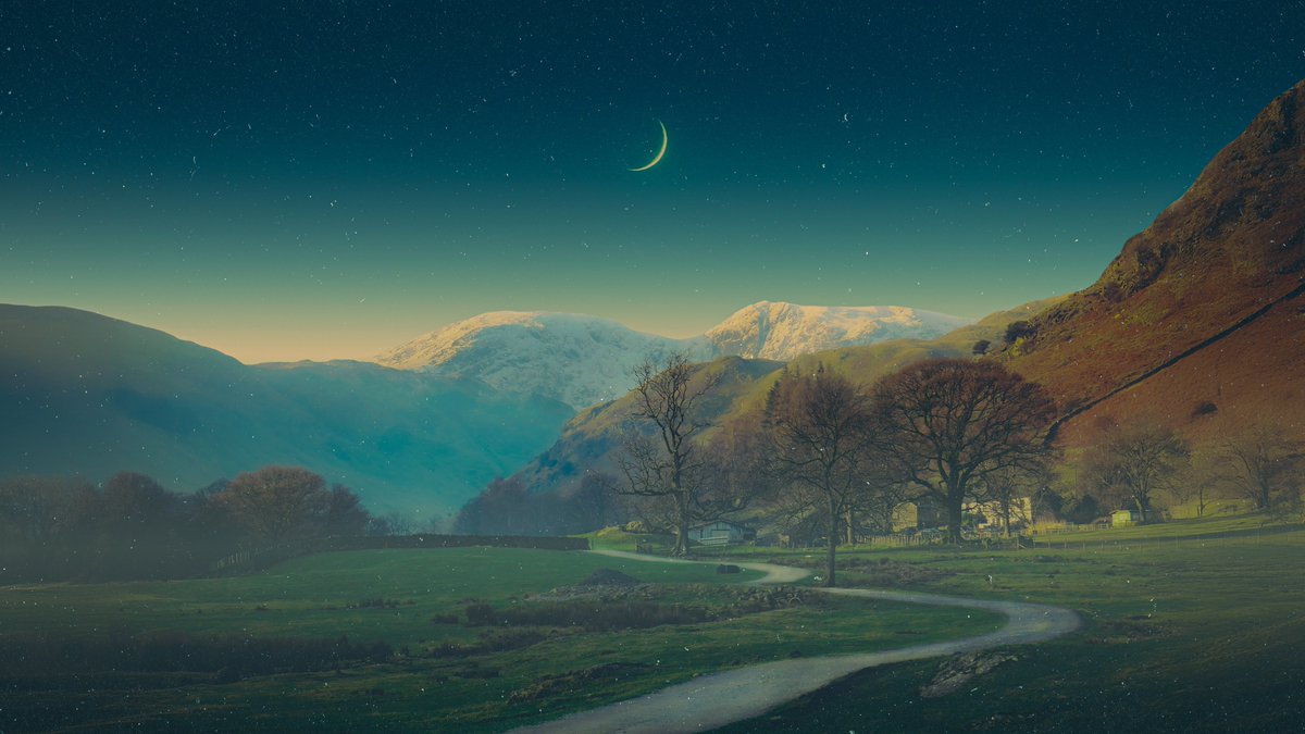 post wook ✨🌻 tweet media