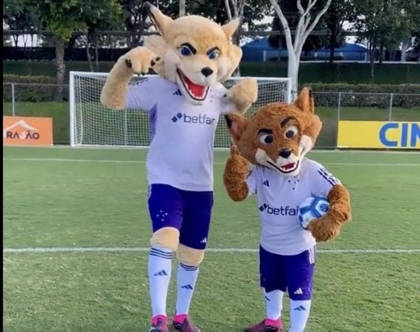 Max Ribeiro ⭐⭐⭐️ tweet media