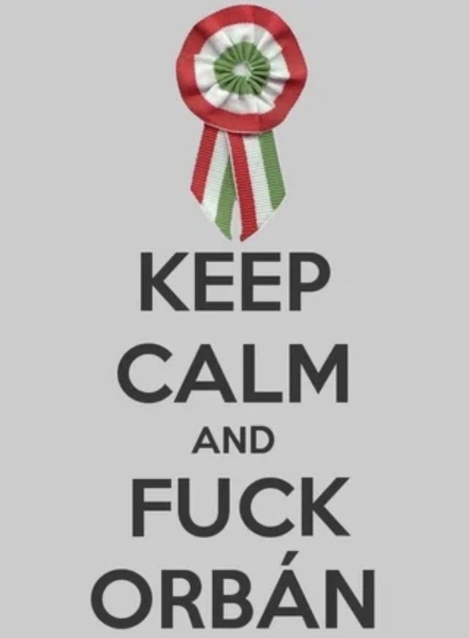 Vlad Fella #NAFO tweet media