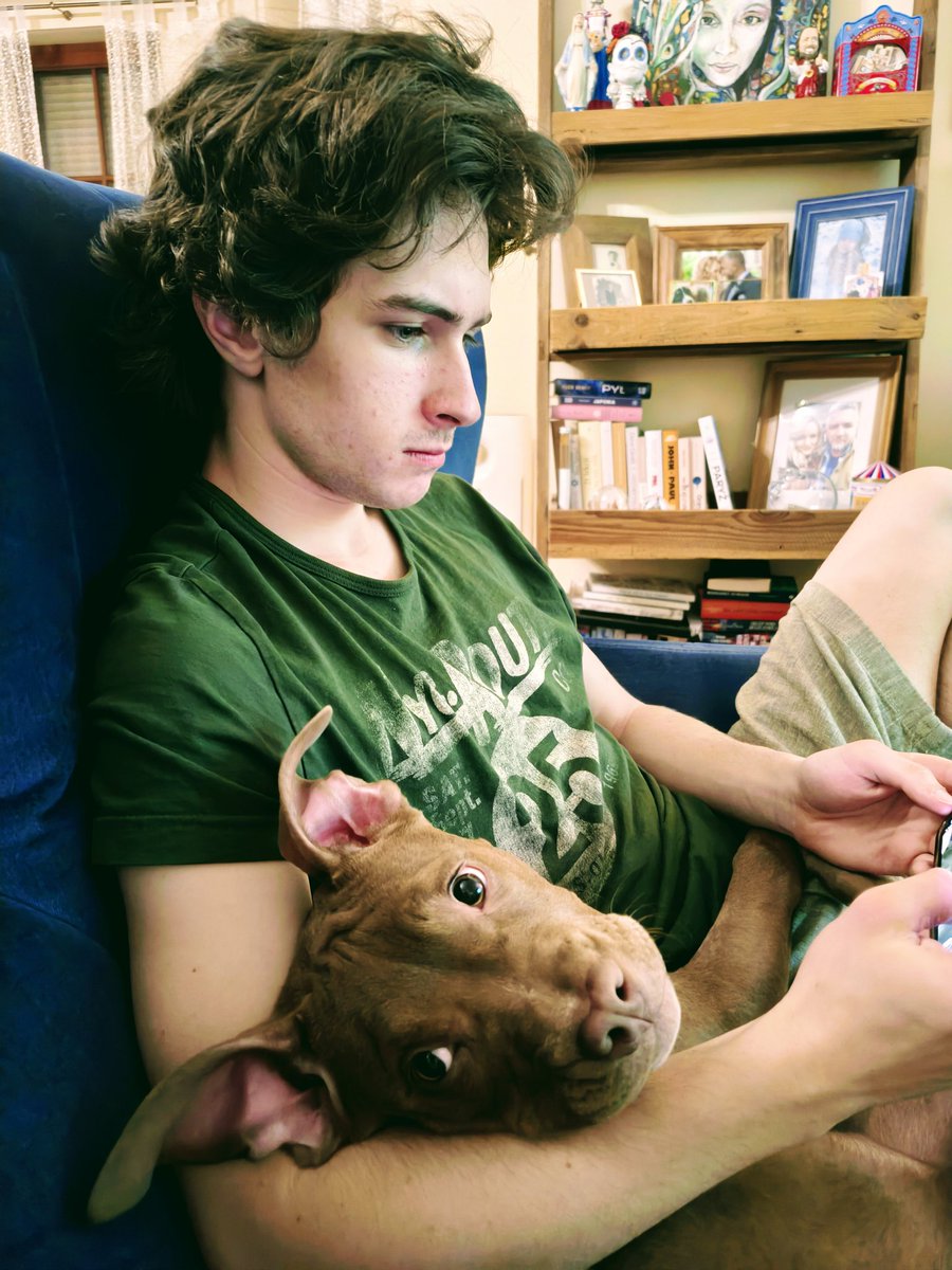 Aleksander Twardowski tweet media