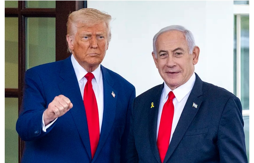 Pedro J. Cobo tweet media