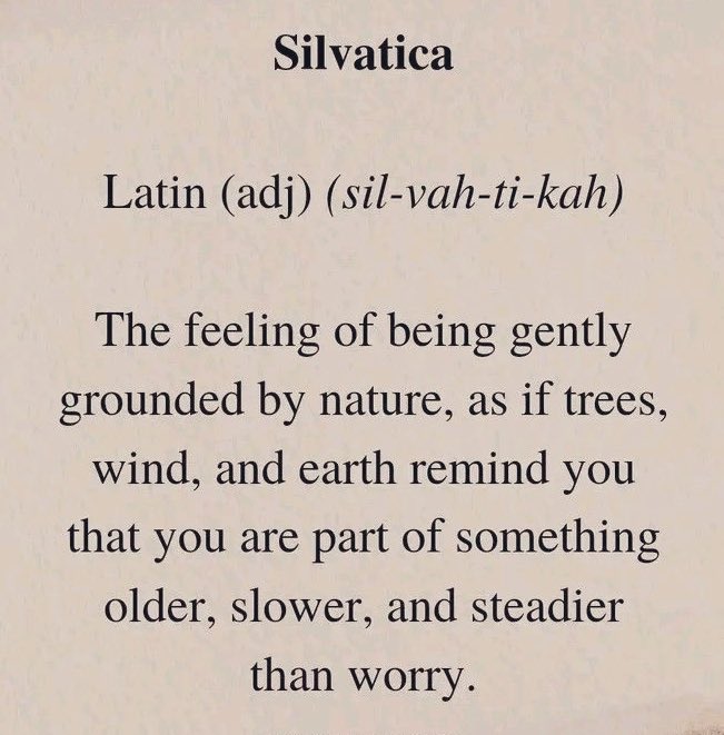 Bluebell Raven tweet media