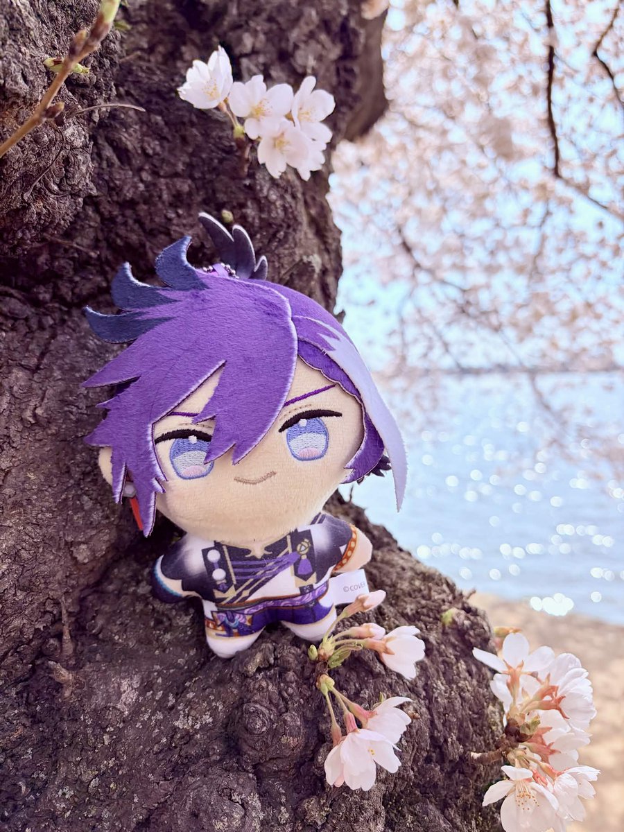 kismet nightingale 🎇⛓️🔅⭐ tweet media