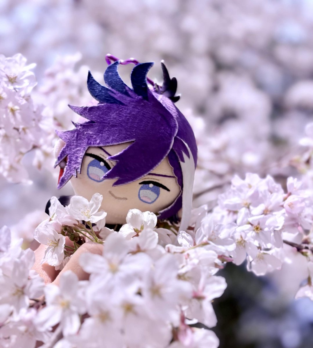 kismet nightingale 🎇⛓️🔅⭐ tweet media