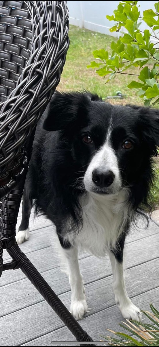 ELITE DawgGal 2 Natty Winner 1980 Alumna tweet media