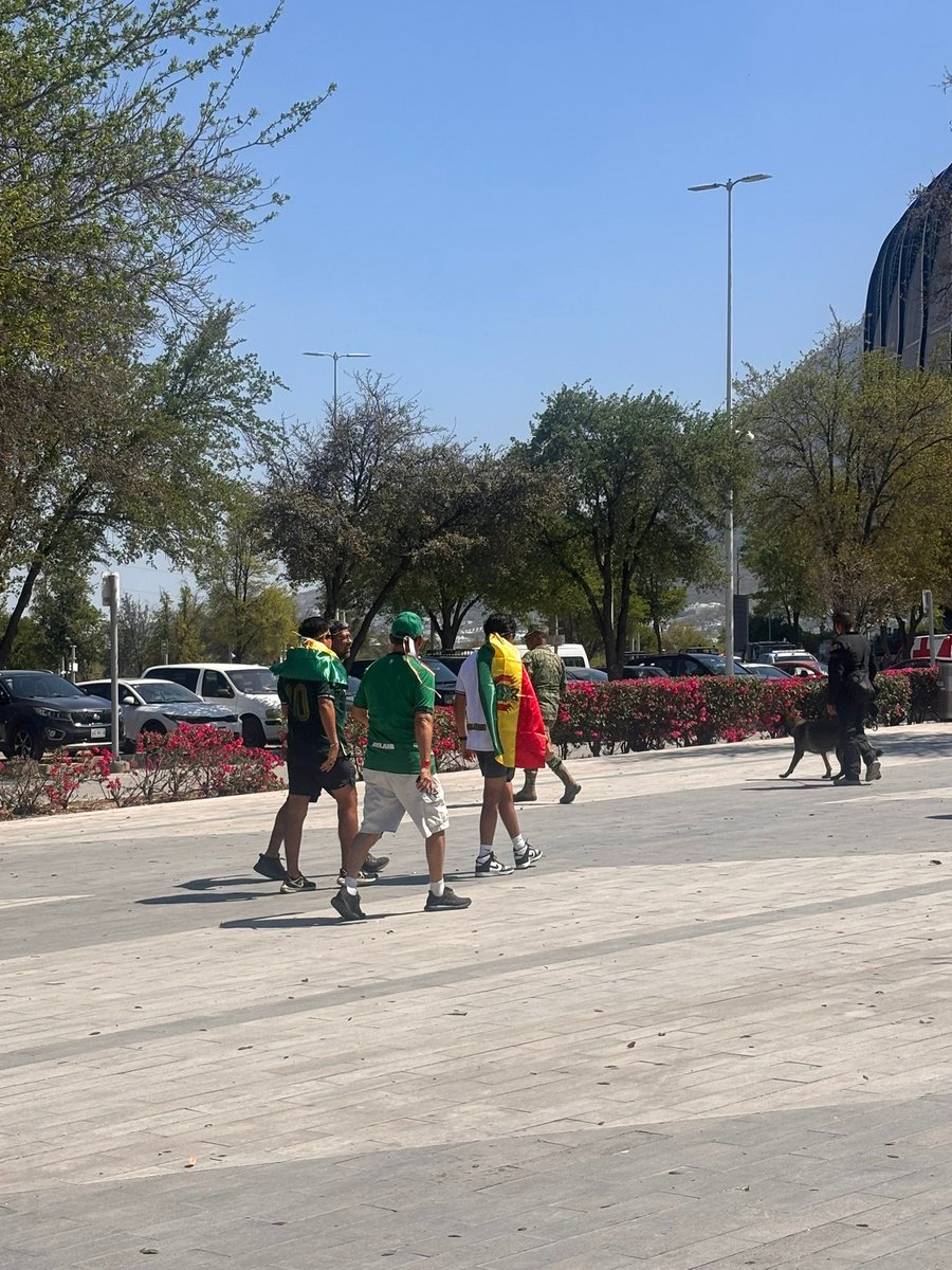 Tottenham Bolivia tweet media