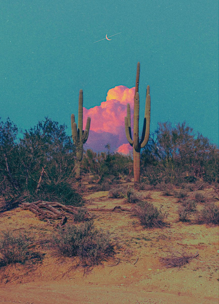 post wook ✨🌻 tweet media