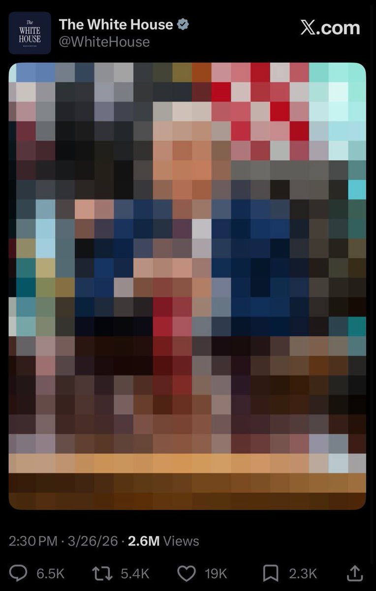 Melissa Redpill - Freedom Force tweet media