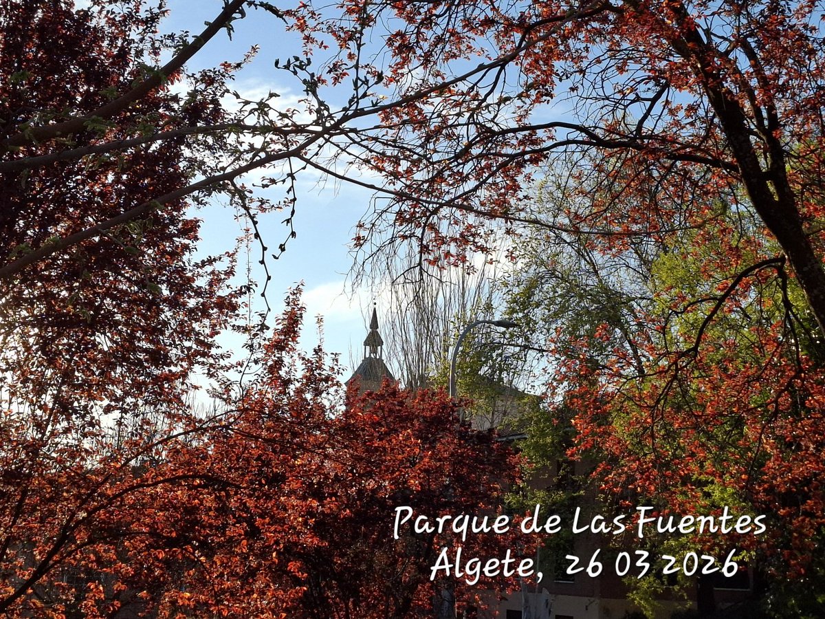 MAF Algete tweet media