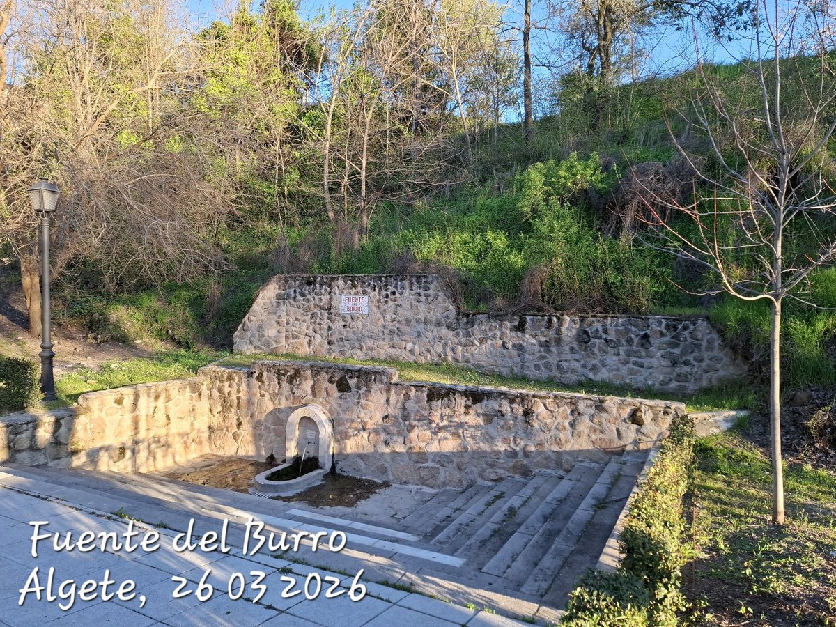 MAF Algete tweet media