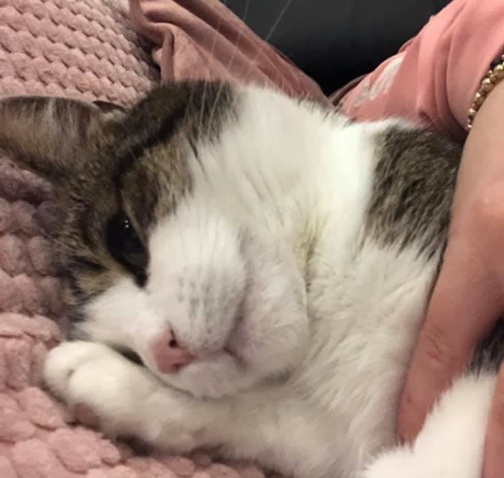 Laylah Lilithah tweet media