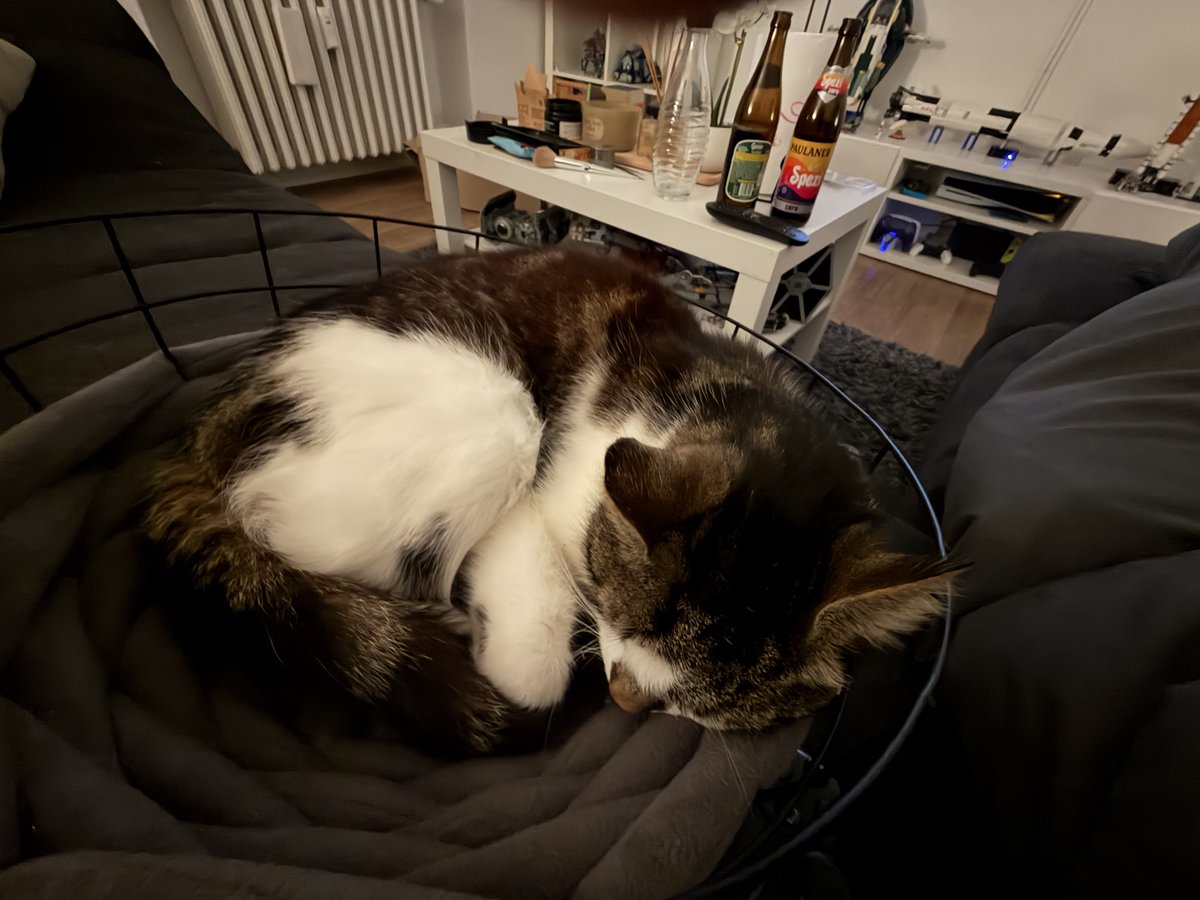 the notorious nicla🇮🇪 tweet media