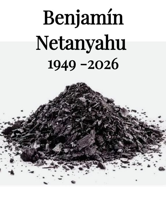 Liliane R 🐞 tweet media