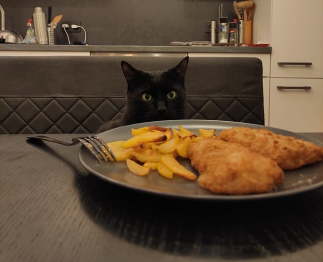 Laylah Lilithah tweet media