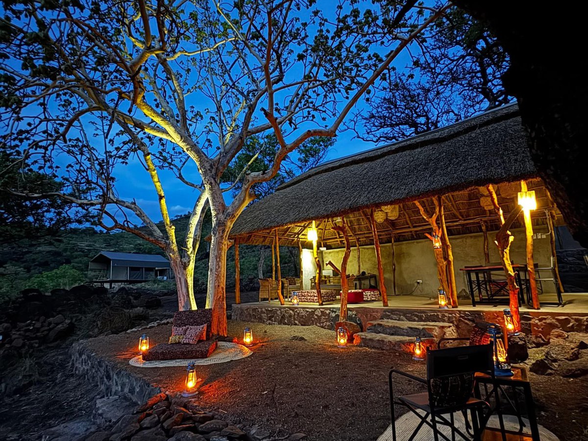 Samuel Gingo tweet media