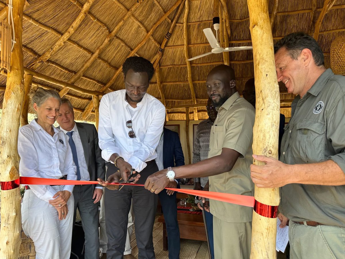 Samuel Gingo tweet media