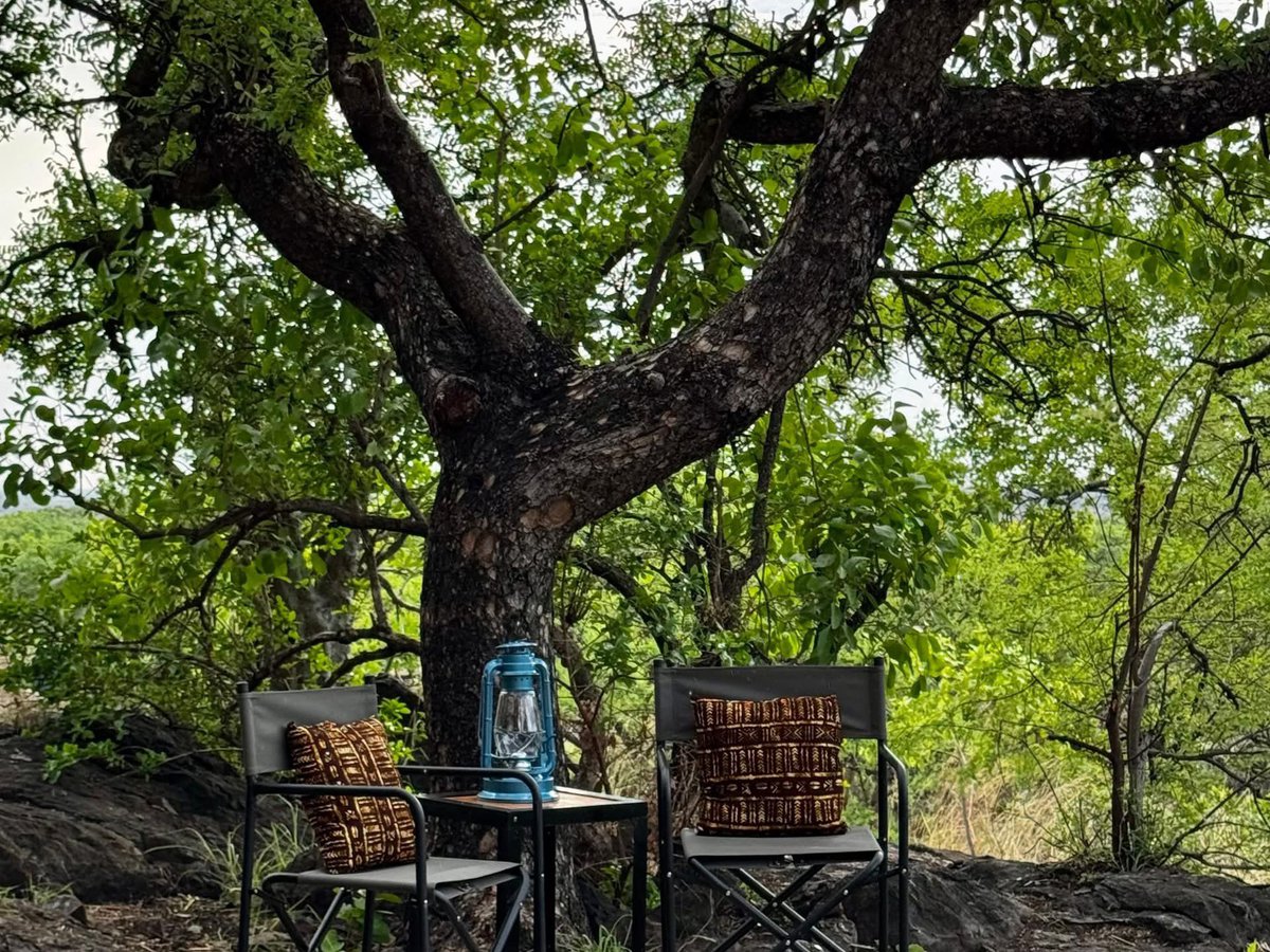 Samuel Gingo tweet media