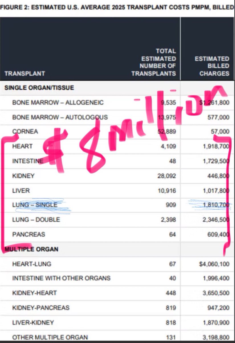 Bethany O’Leary 🇺🇸 🦅 tweet media