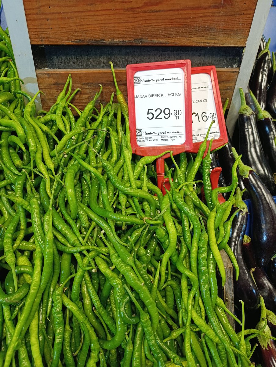 Eyüp Akbaş tweet media