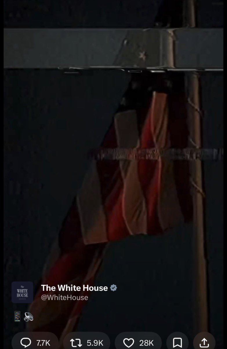 SpiritQf76 ⭐️ ⭐️ ⭐️ tweet media