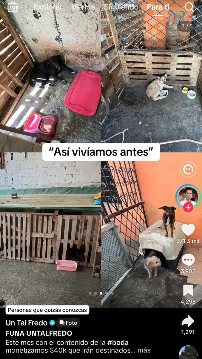 Karly ♰ tweet media