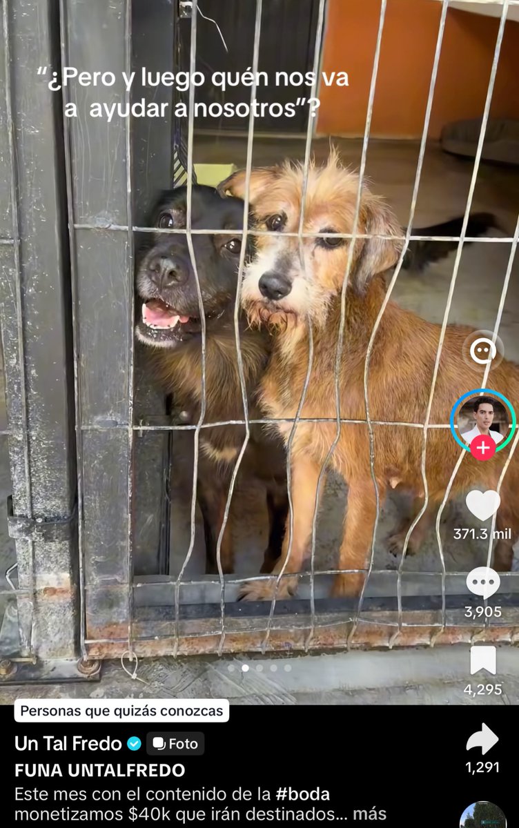 Karly ♰ tweet media