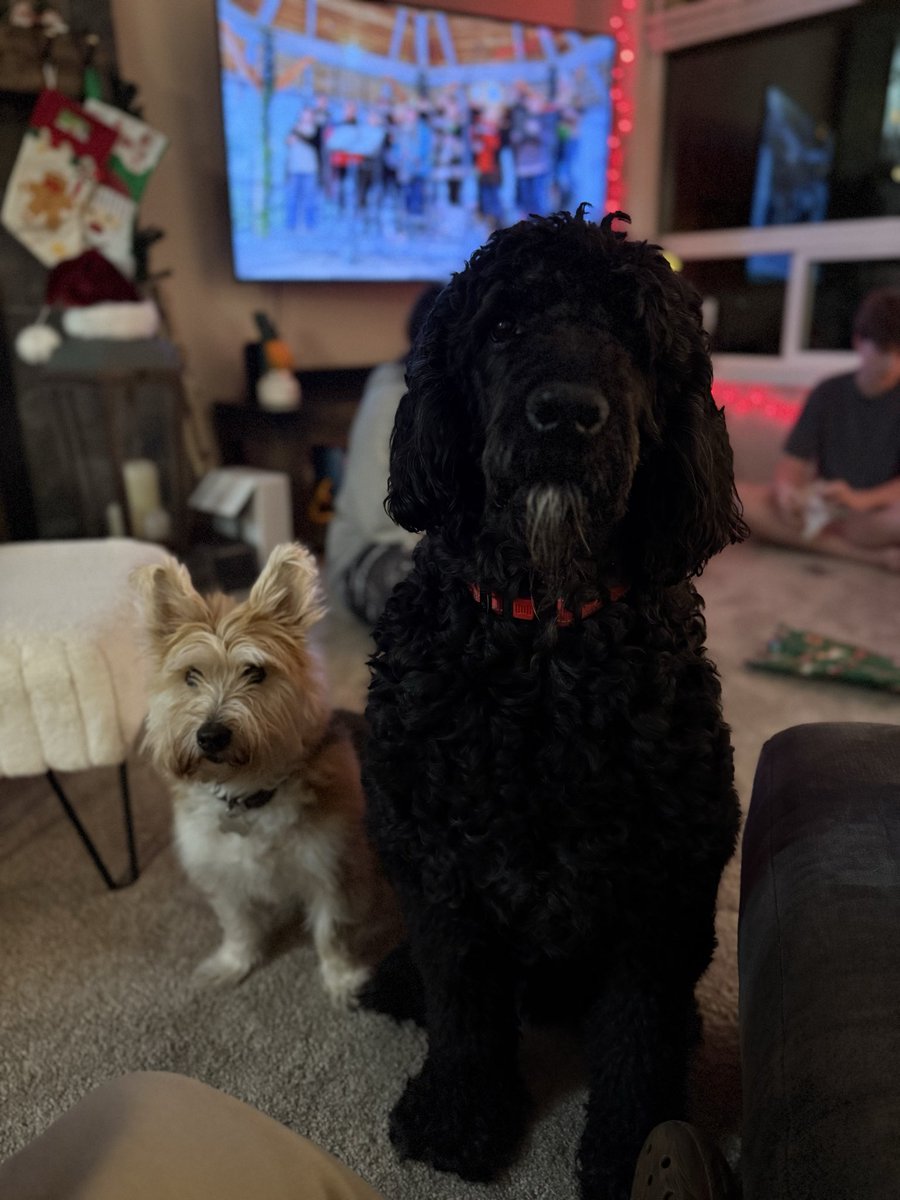 CryptBro 🇺🇸 tweet media