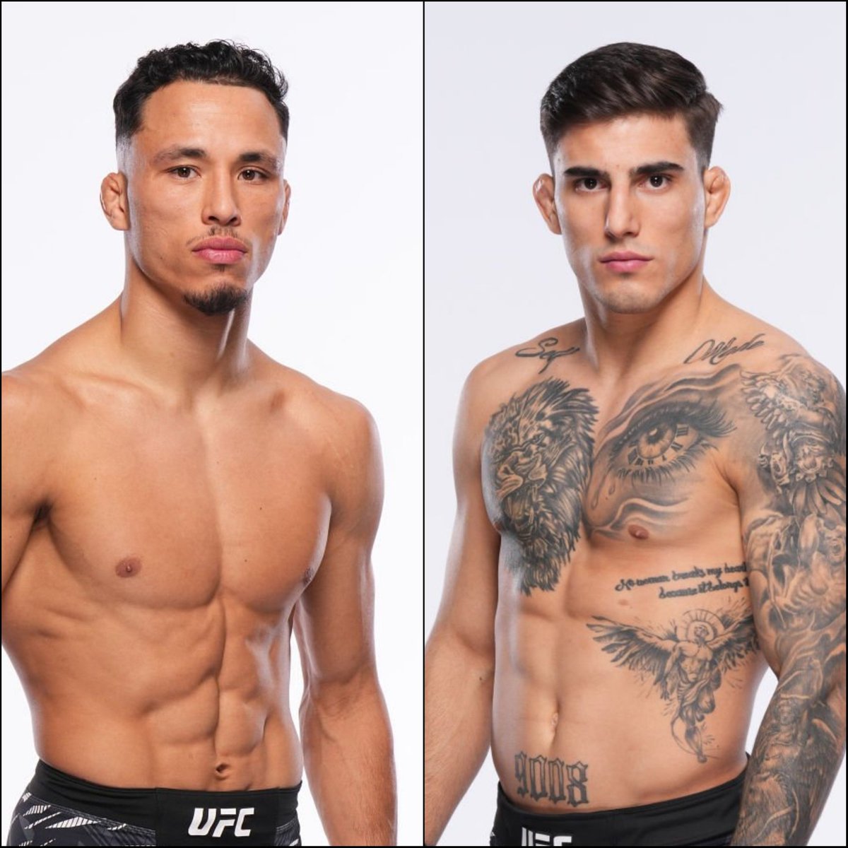 Marcel Dorff 🇳🇱🇮🇩 tweet media