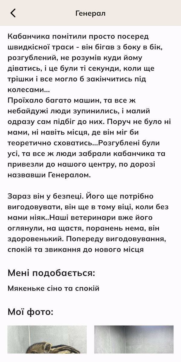 солоденька tweet media