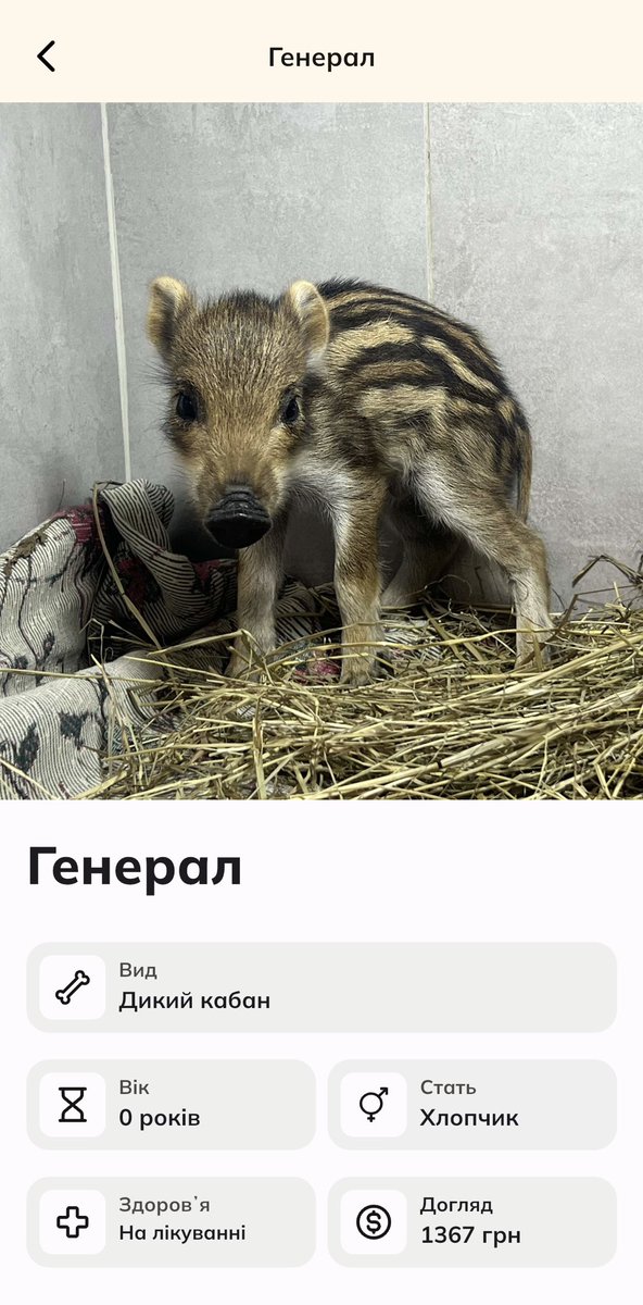 солоденька tweet media