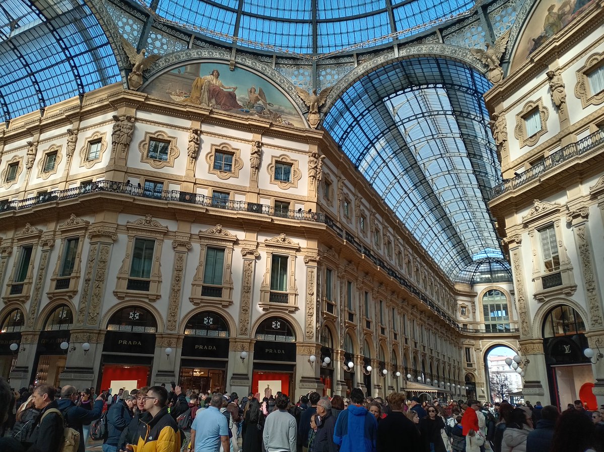 @josemanfredini tweet media