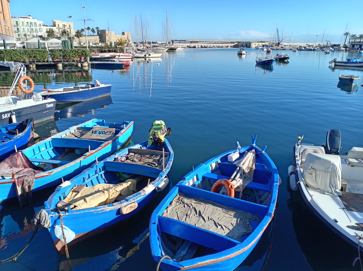 @josemanfredini tweet media