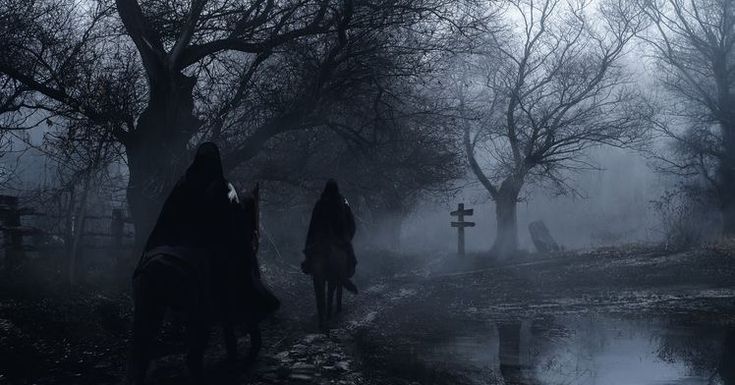 𝕰𝖑𝖊𝖒𝖒𝖎𝖗𝖊 tweet media