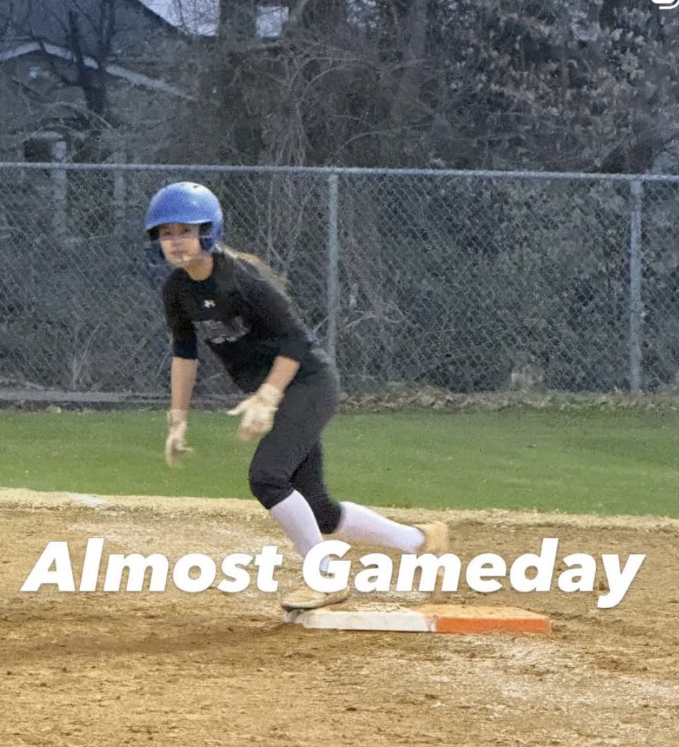 FHSLionsSoftball tweet media
