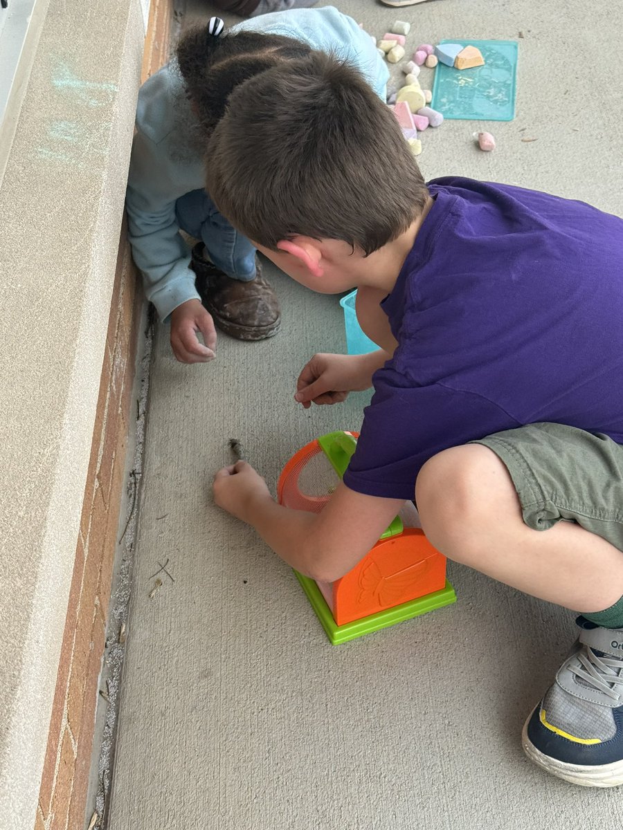 BeilStephany's tweet photo. At recess we had been catching bugs! The students love to look at them up close 🔎🐞🐛#wearewayne https://t.co/qz1Jux2X1S